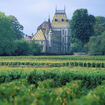 Château Corton-André, Burgundy